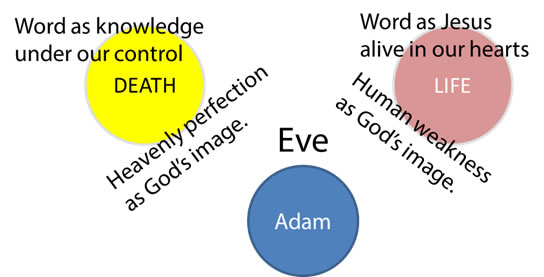 AdambeforeTwo.jpg